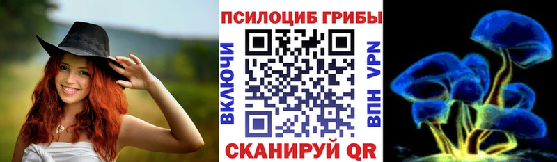 Галлюциногенные грибы Cubensis  мега зеркало  Пенза 